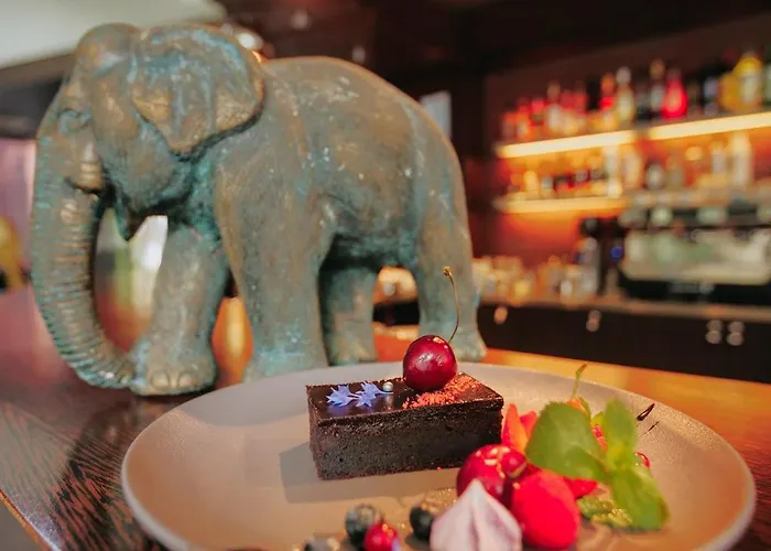 Rixwell Elefant 酒店 里加