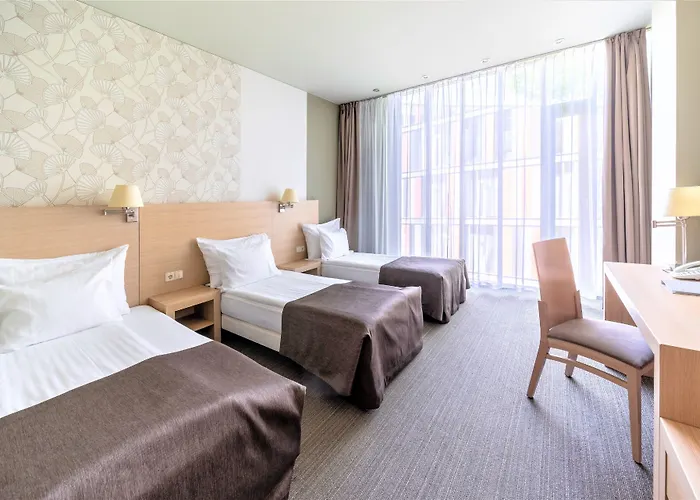 Rixwell Elefant 里加